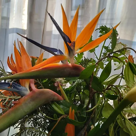 M&mcies Appartement *